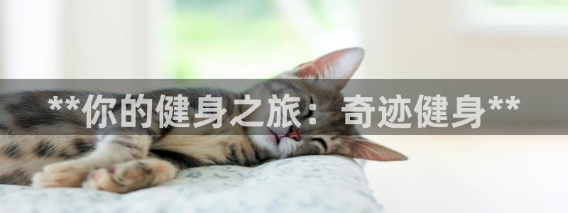 龙8国际下载