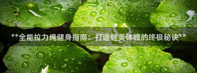 龙8国际游资如何