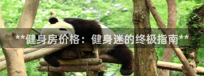 龙八国际下载链接