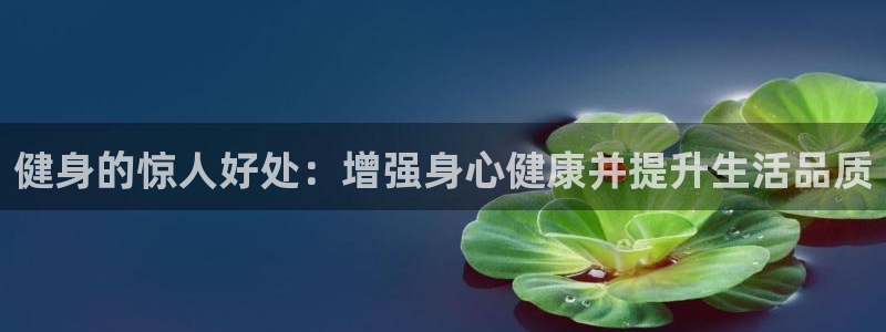 龙8app 国际