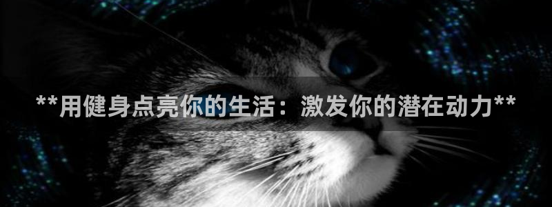龙8国际app 下载
