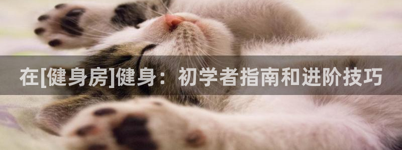 龙8国际ing