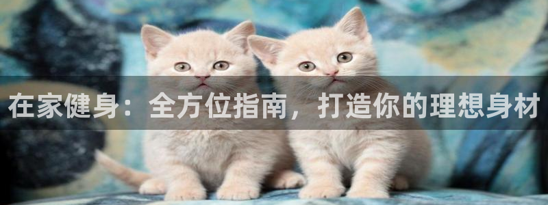 龙八国际2018最新官网