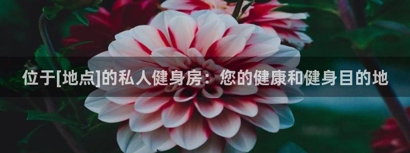 下载龙8国际