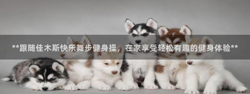 龙8国际登入