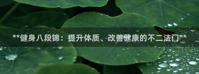 龙8国际手机版注册