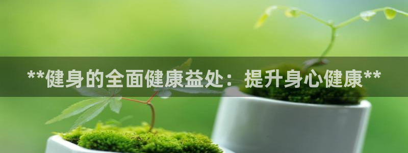 龙8国际备用