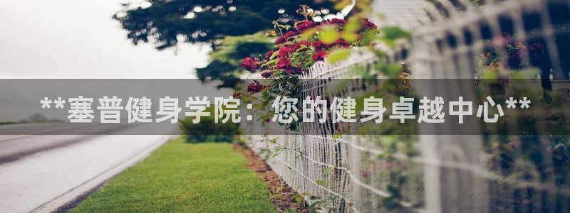 龙八国际娱乐官方网站