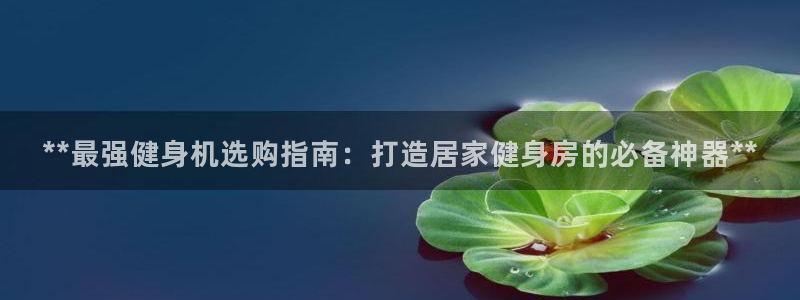 龙8国际pt官网