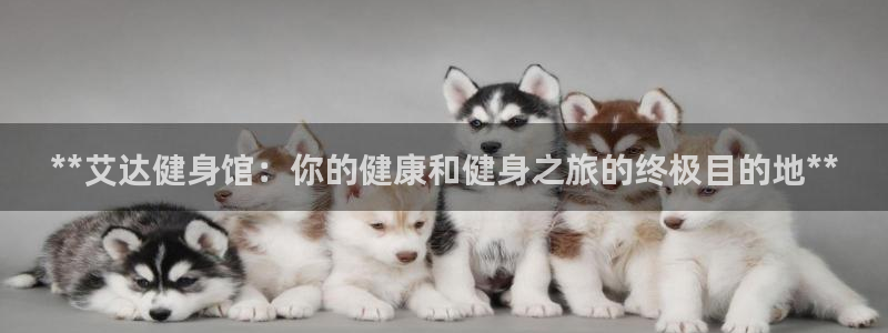 龙8游戏平台官方