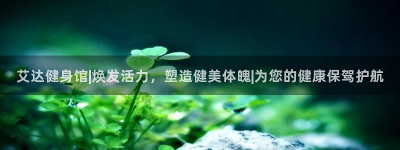 龙8国际手机游戏官网
