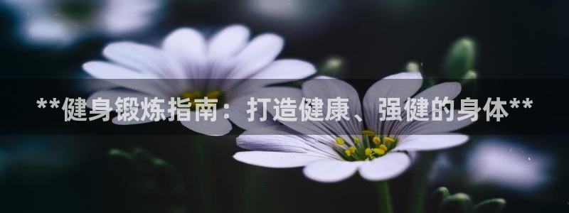 龙8国际网页版