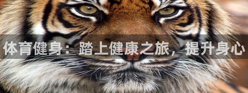 龙8国际官网进入