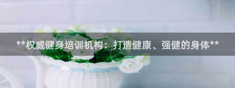 龙8国际long8