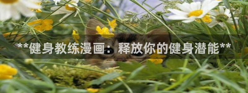 龙8国际游戏公司官网