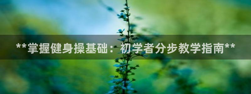 龙8网页版登录入口