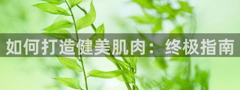 龙8国际手机版