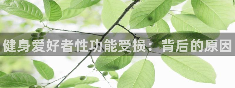 龙8国际真钱