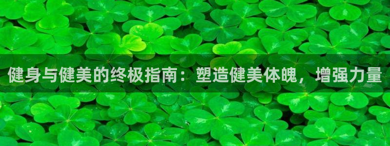 龙八国际手机客户端