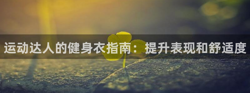 龙8国际app官网下载