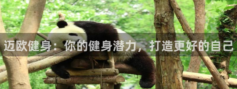 龙8游戏官方网站s