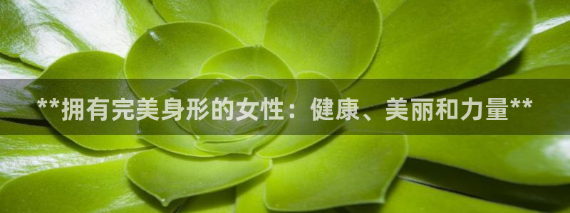 龙八国际娱乐官网app