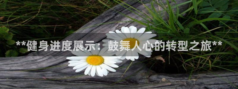 龙8国际网站