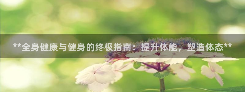 龙8电子游艺网址多少