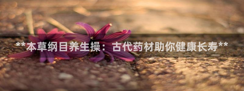 龙八国际手机客户端
