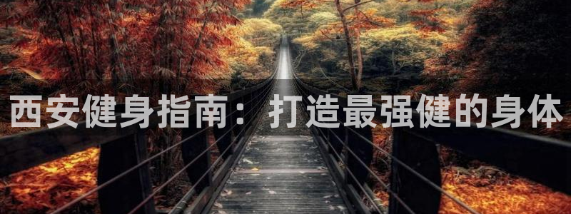 龙八国际官方网