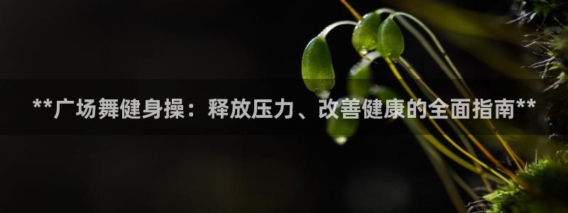龙8国际pt网址