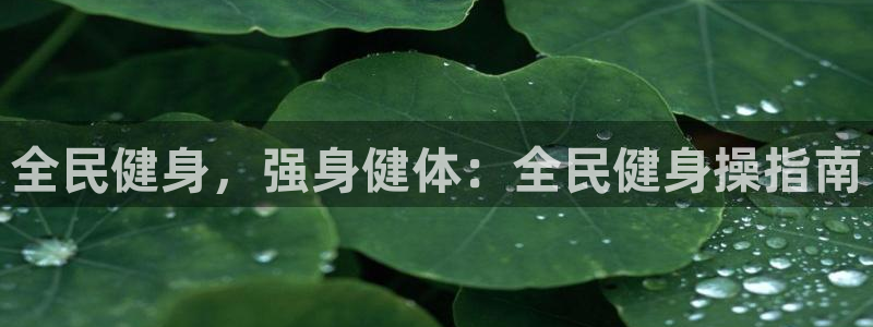 龙8国际是什么