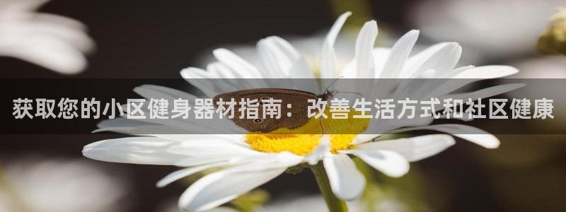 龙八国际娱