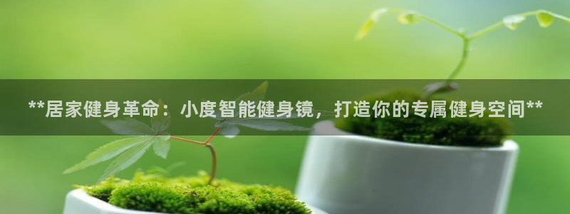 龙8国际手机版官网下载