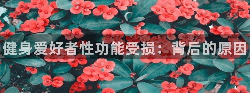 龙8国际手机版