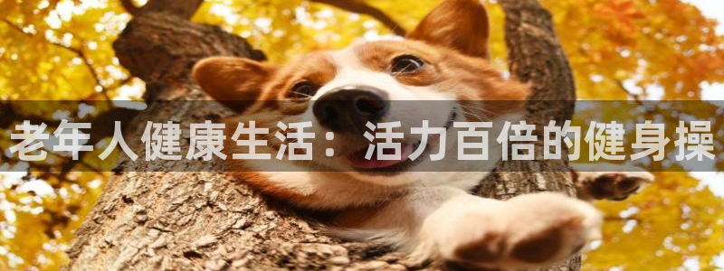 龙8官网正版