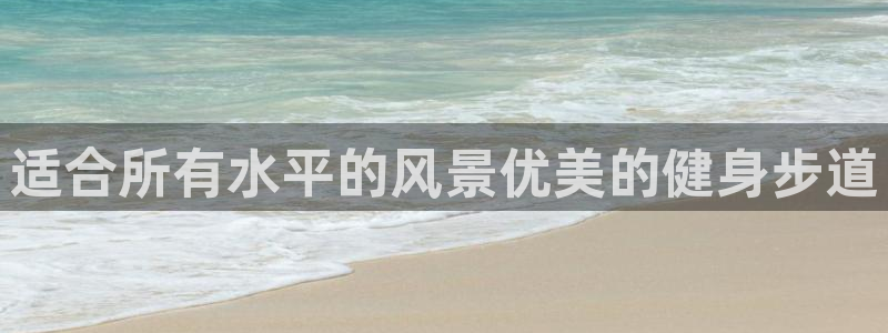龙8国际手机网页版