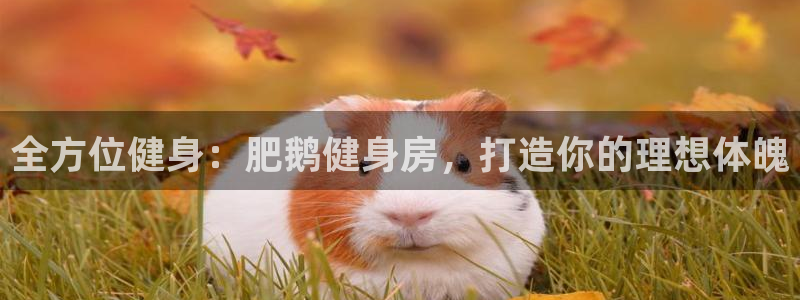 龙8老虎机游戏网站多少