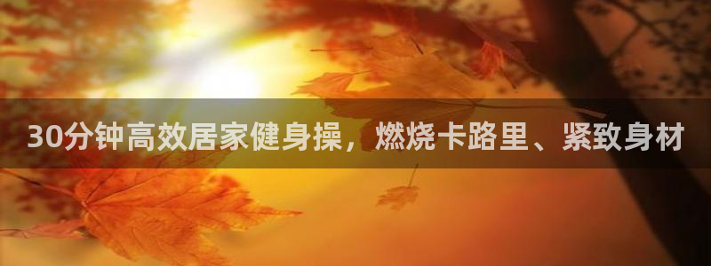 龙8国际头号玩家下载