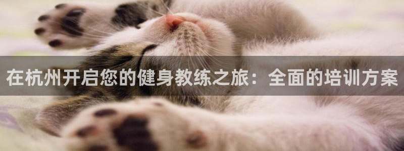 龙8游戏平台官方