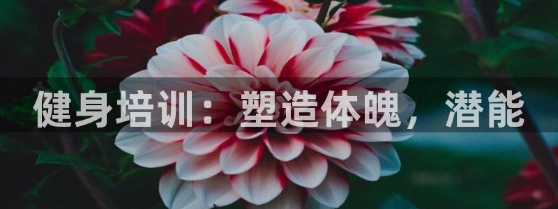 龙8国际备用