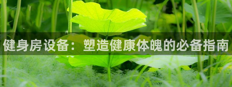 龙8国际手机版app