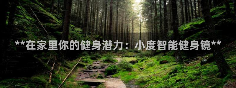 龙八国际手机客户端