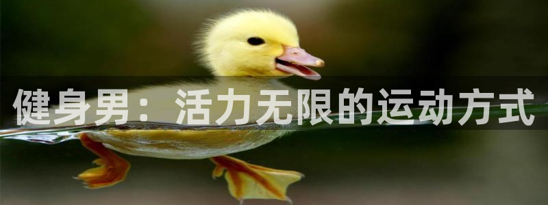 龙8国际头号玩家下载