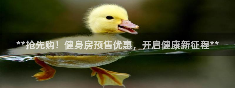龙8国际pt网址官方