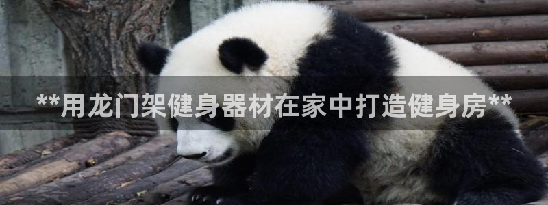 龙8国际官方网站-龙8国际pt老虎机