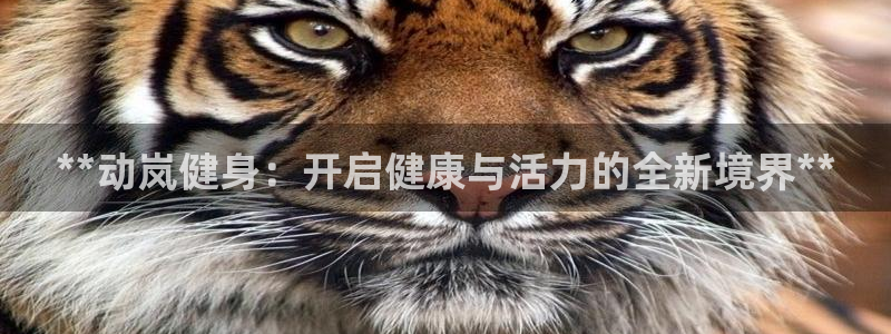 龙8游戏国际登录