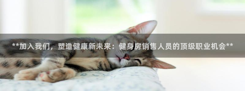 龙8国际总代理