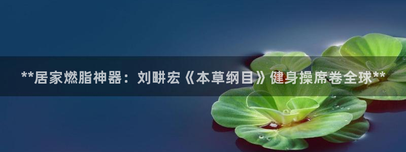 龙8国际手机版下载