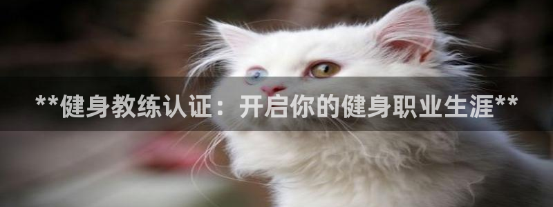 龙8国际官网官方版fxzls天地手游 -kc -安卓
